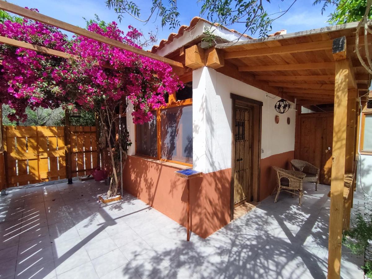 Apartamento El Grifo การ์โมนา ภายนอก รูปภาพ