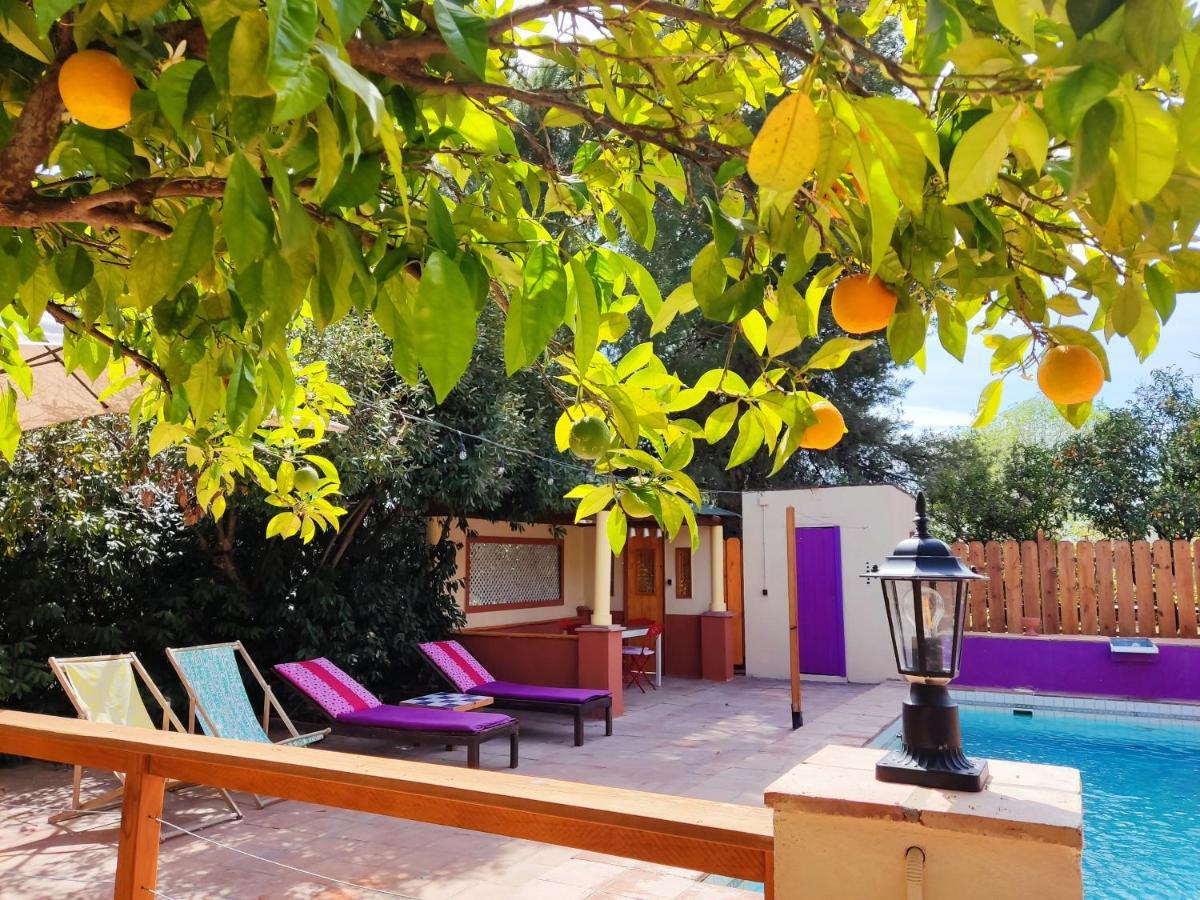 Apartamento El Grifo การ์โมนา ภายนอก รูปภาพ